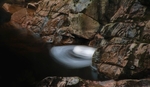 NEW - Cascades portfolio