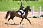 Cls 24 Hoys 128cm Jump Off and Presentations portfolio