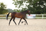 SBM_08523