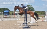 CLASS 7 Senior Foxhunter/ 1.20m Open portfolio