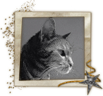 Cat-Care-SW-London