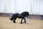 SBM_5331