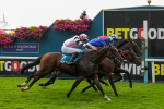 Race 6 4.25pm Hanson Springs 60th Anniversary Handicap at York portfolio