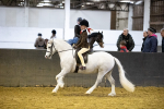 SBM_008967