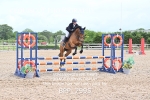 BPP_7995
