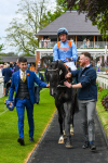 190523-Race 1-Got To Love A Grey-0197