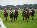 160626-Race 6-Crocus Time-2