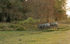 Ellephant's family