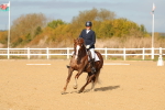 SBM_009303