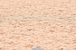 230507A-121740-07606