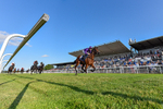 Race 1 18.30pm Racing TV EBF Restricted Maiden Stakes portfolio