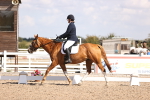 SBM_03551