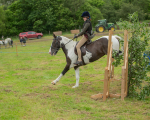 Dunblane show-142