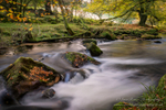 Autumnal Splendour 1