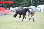 SBM_11279