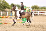 SBM_000259