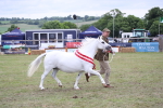 SBM_09911