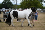 WJ6_8372