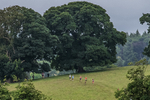 Beetham Sports-5