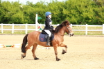 SBM_006585