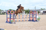BPP_8368