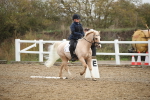 SBM_001453