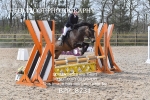 BPP_8231
