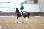 SBM_000962