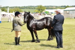 SBM_07172