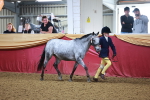 SBM_14690