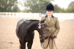 Class 702 - IH  Show Horse Pony portfolio