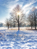 Wimpole Hall 16Dec22-7-Edit-2