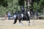 WJ7_0982
