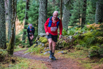 Glentress-2162