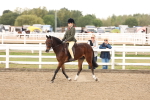 SBM_02895