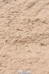 230813A-095746-11293