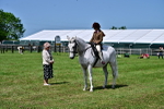 SBM_03800
