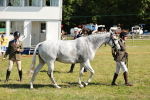 SBM_18895