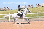 BPP_1711