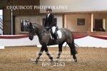 BPP_2163