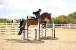 SBM_003611