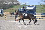 BPP_9199
