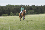 BVHT 140517  NXC -470