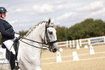 SBM_009534