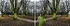 I Went to the Woods
