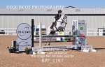 BPP_1197