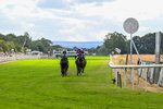 010826-Race 6-La Peregrina-3267