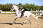 SBM_000714