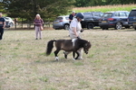WJ6_7014