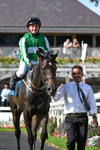 060926-Race 4-Stoneacre Donny-8114
